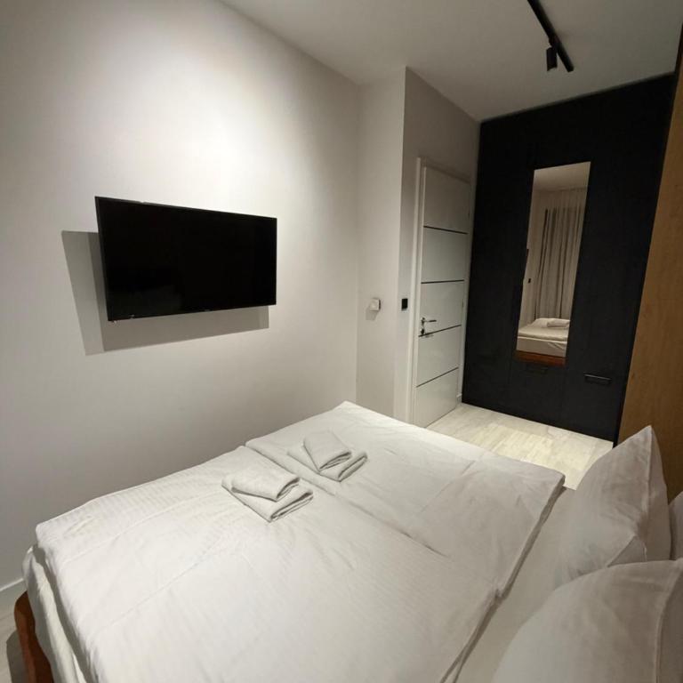Sky Lux Bulevar - Apartman sa 1 Spavaćom Sobom - 18
