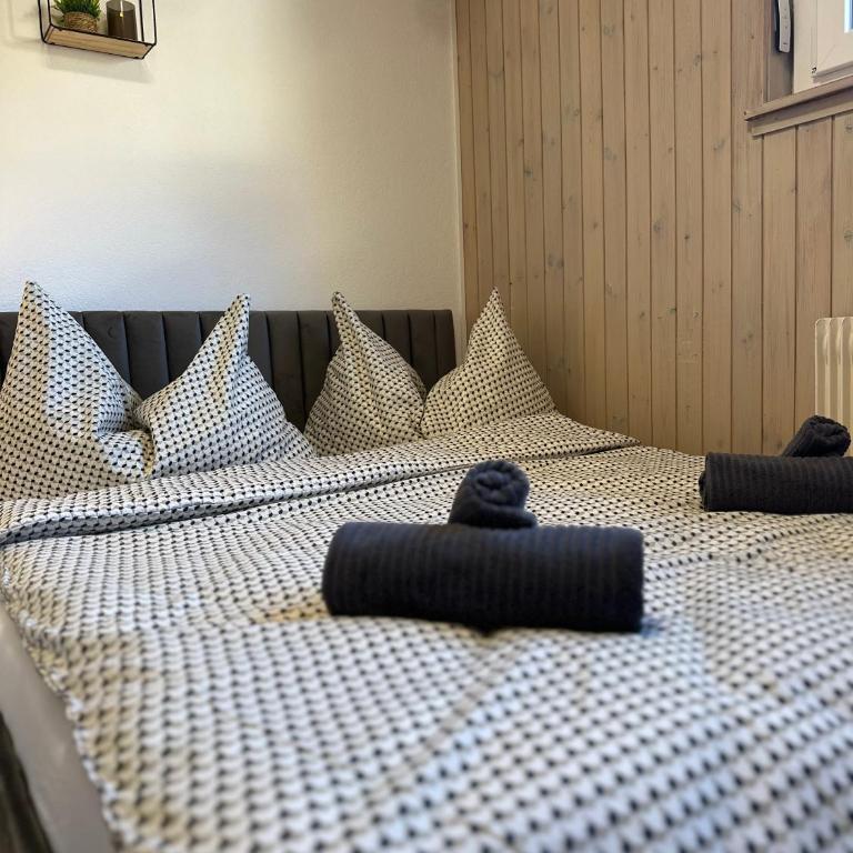 CapoBnB Bergblick nahe See, Wandern, Wallis - Appartement 2 Chambres - 20