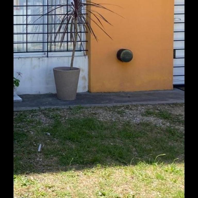 Lynch - Apartamento de 1 dormitorio - 2