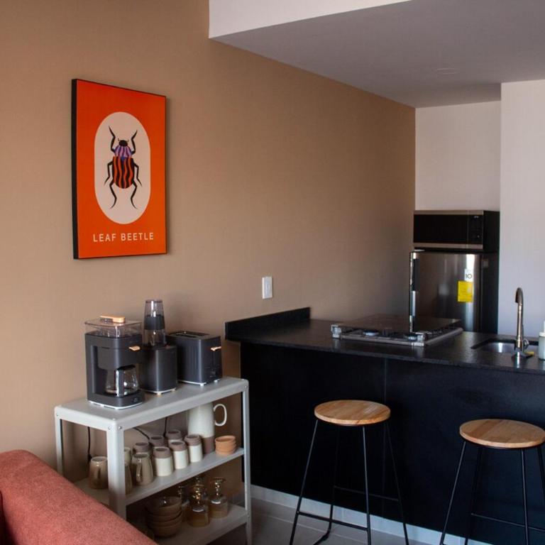 Departamento El Retiro 301 - GDL Centro - Two-Bedroom Apartment - 30
