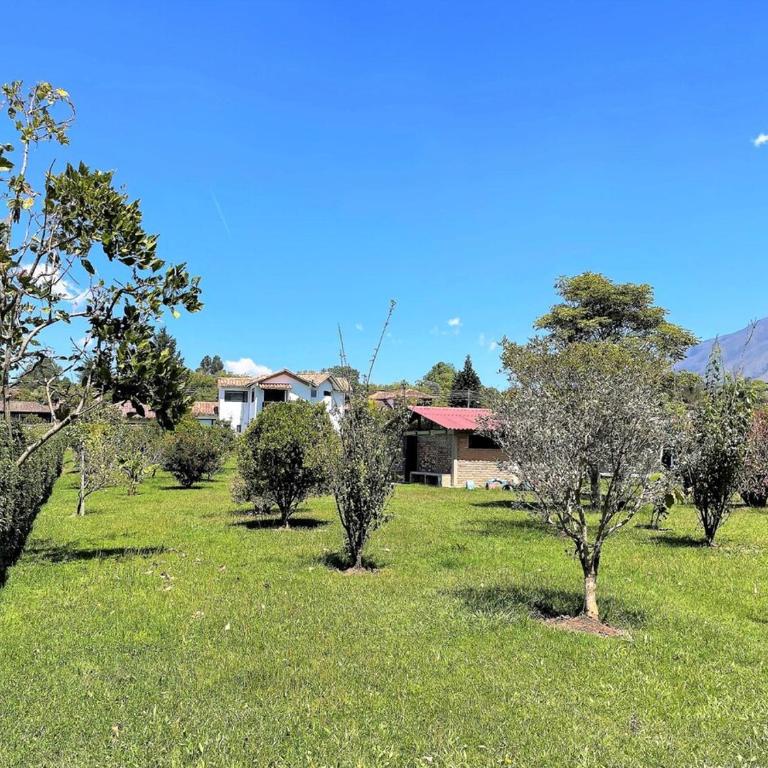 Hermosa Casa Campestre en Villa de Leyva - Villa - 32