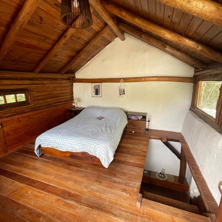 Eco-friendly cabin in Salsipuedes - Two-Bedroom Apartment - 16