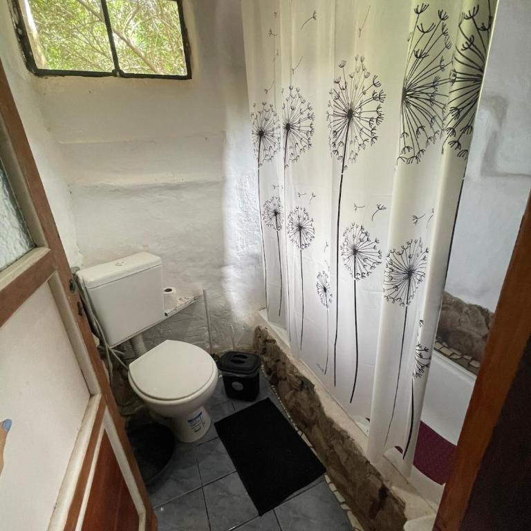 Eco-friendly cabin in Salsipuedes - Two-Bedroom Apartment - 18