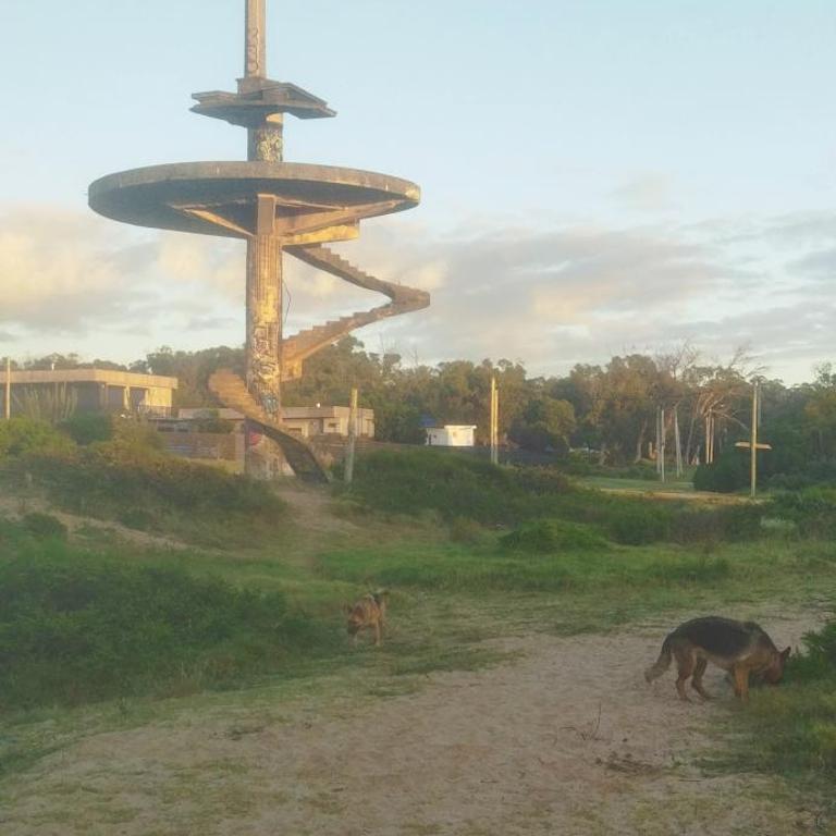 La PASIFLORA - Casa de 2 dormitorios - 45