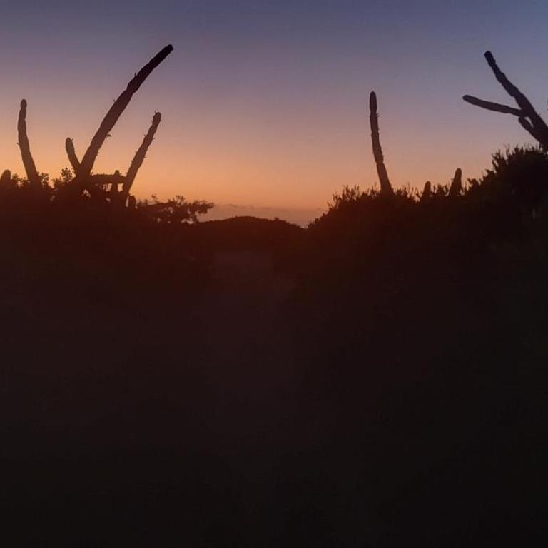 La PASIFLORA - Casa de 2 dormitorios - 55