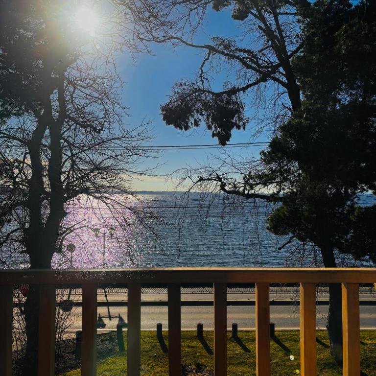 Puerto Varas frente al Lago Llanquihue "Aedes Salus" - Four-Bedroom House - 3