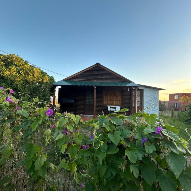 Las Acacias - One-Bedroom House - 1
