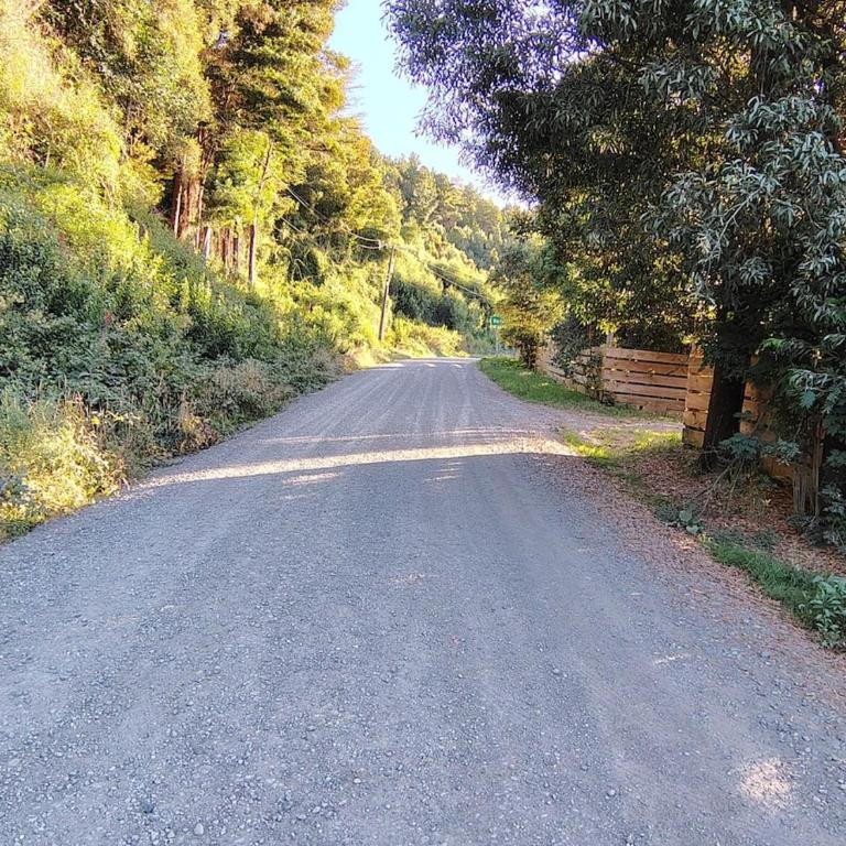 Cabaña Valdivia - Two-Bedroom House - 3