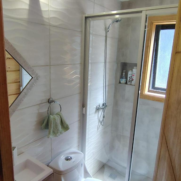 Cabaña Valdivia - Two-Bedroom House - 8