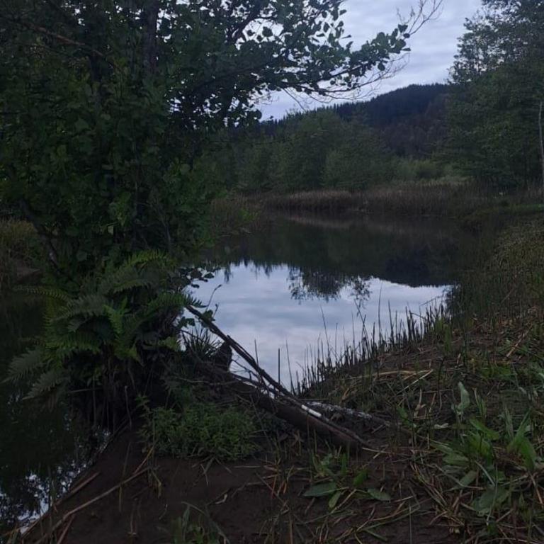 Cabaña Valdivia - Two-Bedroom House - 14