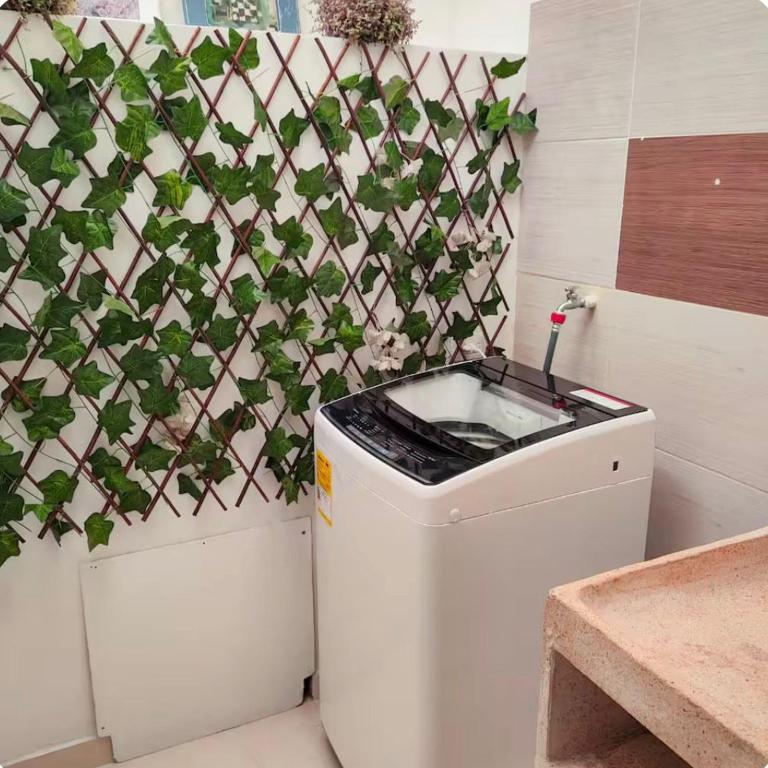 Blanca Rodriguez Suites - Apartamento de 1 dormitorio - 3