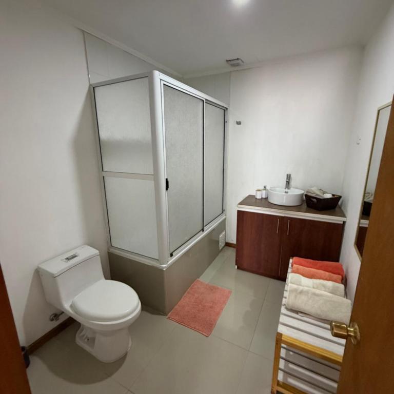 Cómoda casa en 22 Norte, Viña del Mar - Casa de 3 dormitorios - 14