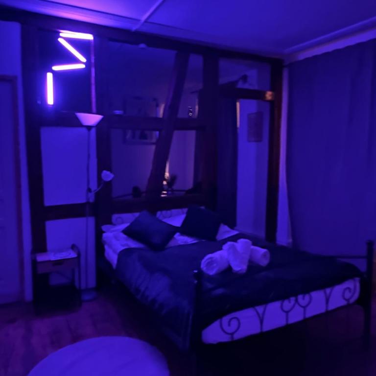 Apparemment Gütenberg-Cathedrale - One-Bedroom Apartment - 4