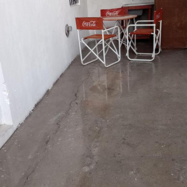 Flores y limones - One-Bedroom Apartment - 2