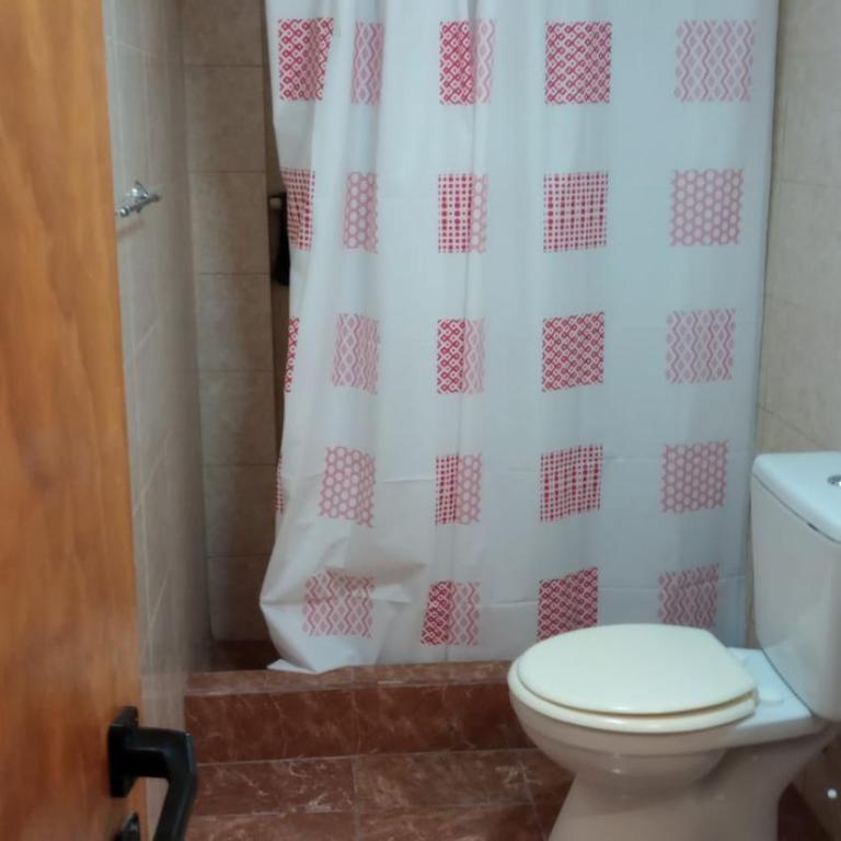 Flores y limones - One-Bedroom Apartment - 5