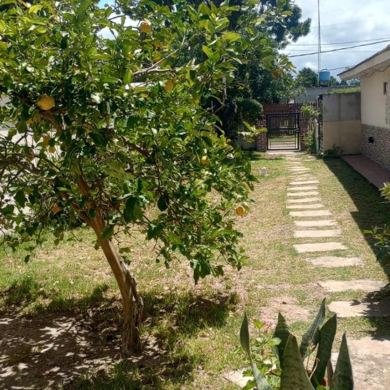 Flores y limones - One-Bedroom Apartment - 8