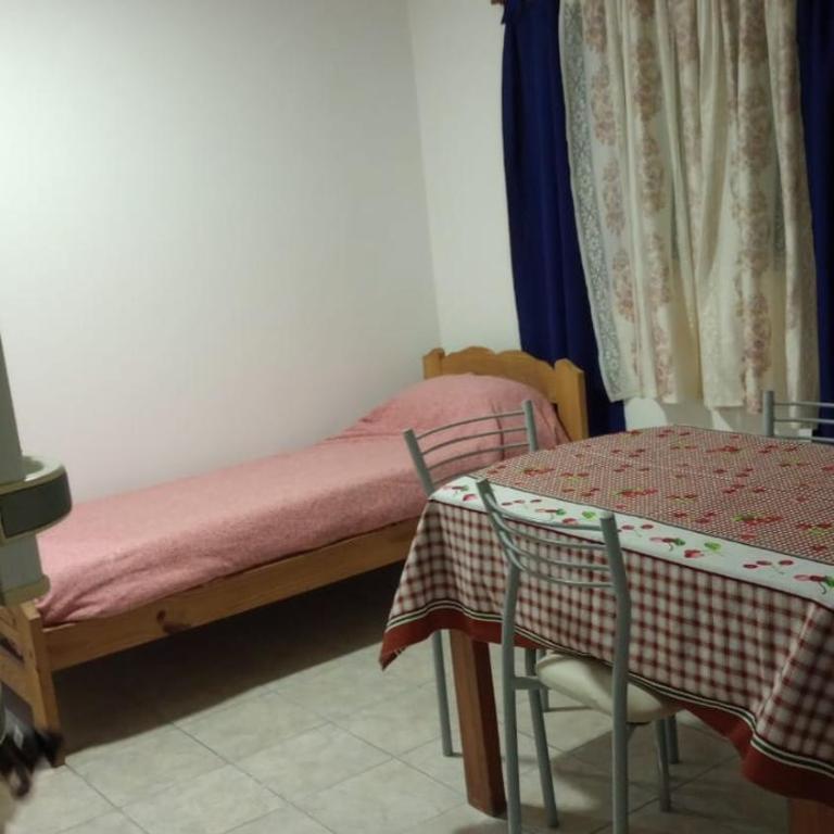 Flores y limones - One-Bedroom Apartment - 12