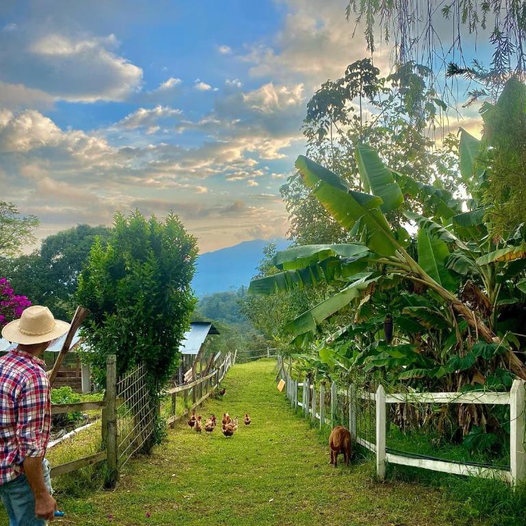 Finca Agrópolis de Silvania - Chalet - 10