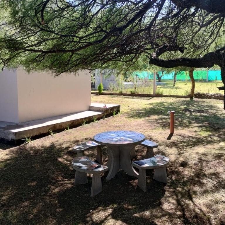 Berna - Casa de 2 dormitorios - 4