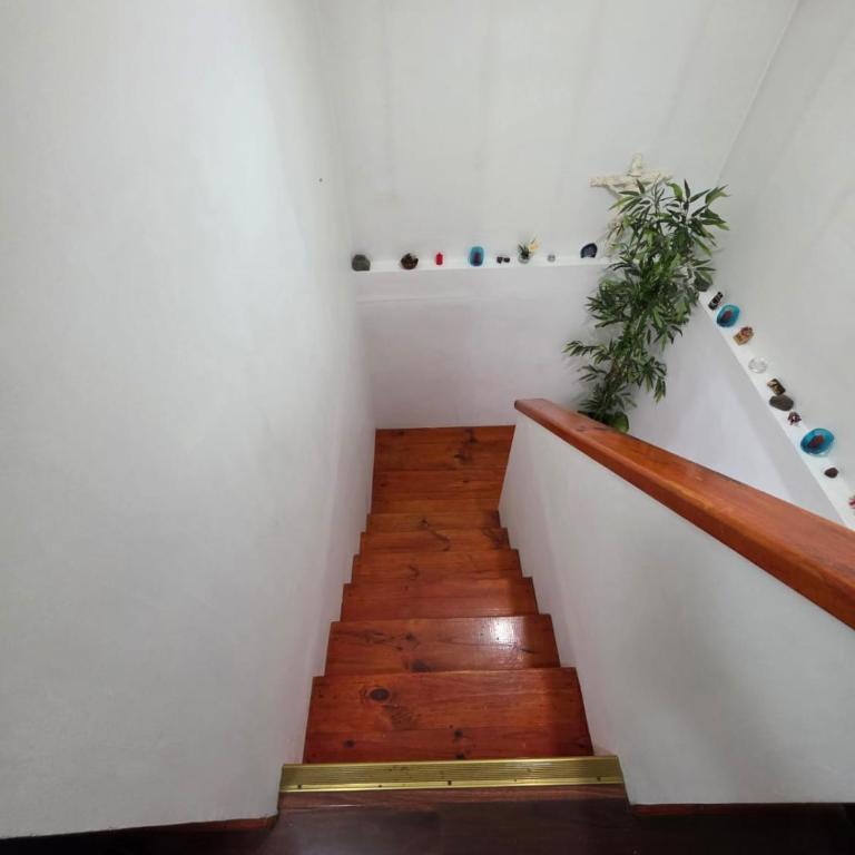 Casa Flor del aire - One-Bedroom House - 5