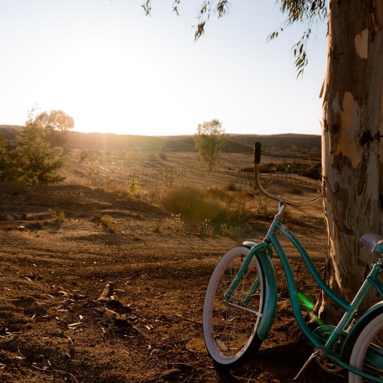 Sarab Hotel - Tienda - 7