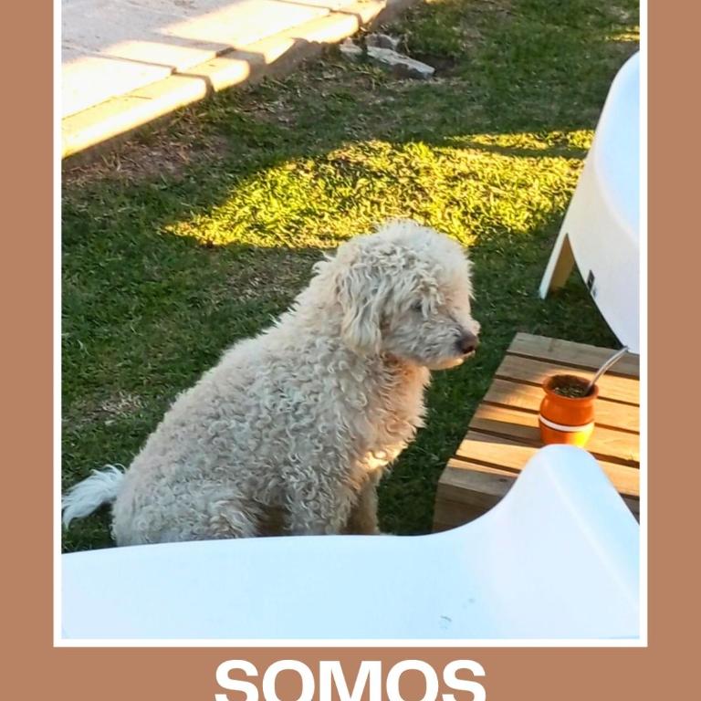 Cabañas Del Alto - Chalet de 1 dormitorio - 4