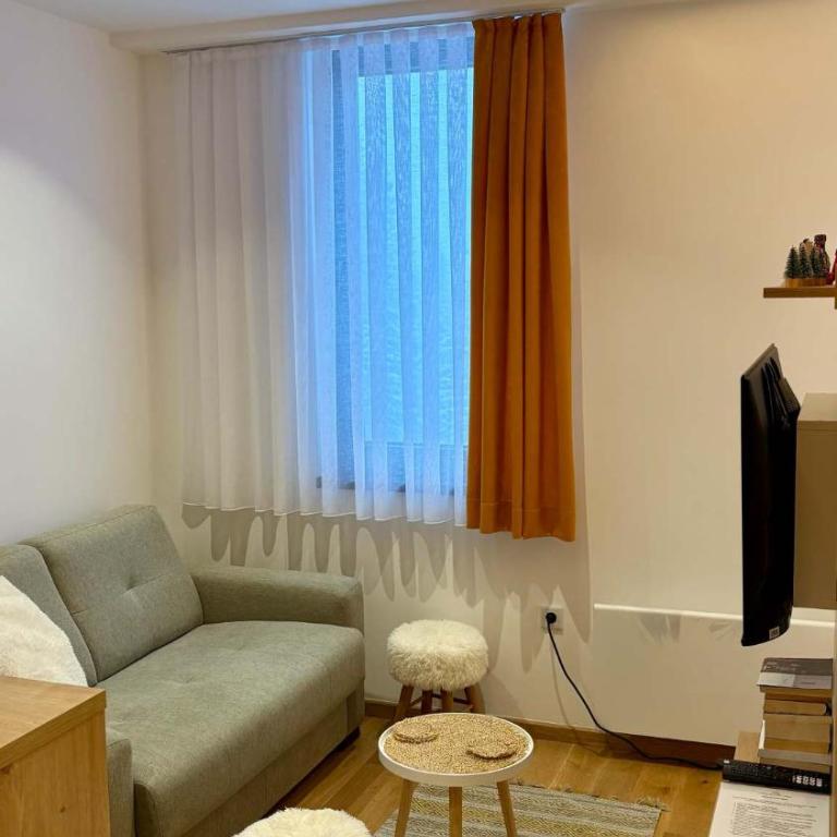 Jahorina Zlatni Javor 206 - One Bedroom Apartment - 10