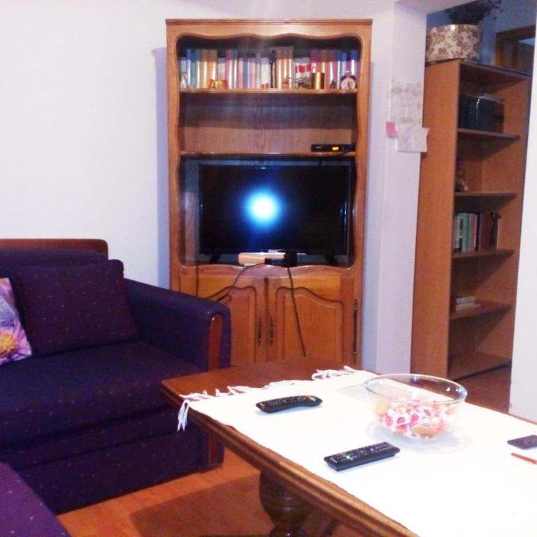 GuestHouse Zabljak - Apartment - 4