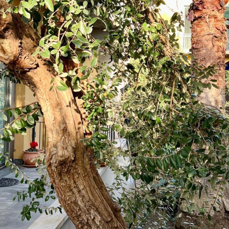 La Corte dei Nespoli - Villa con 3 Camere da Letto - 2