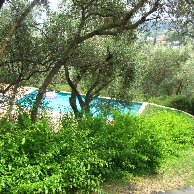 "Ulivi nel Blu" Country House With Pool - Appartamento con 1 Camera da Letto - 4