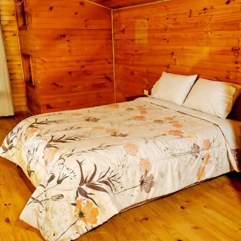 Bosquemar Loft Dalcahue - Three-Bedroom House - 18