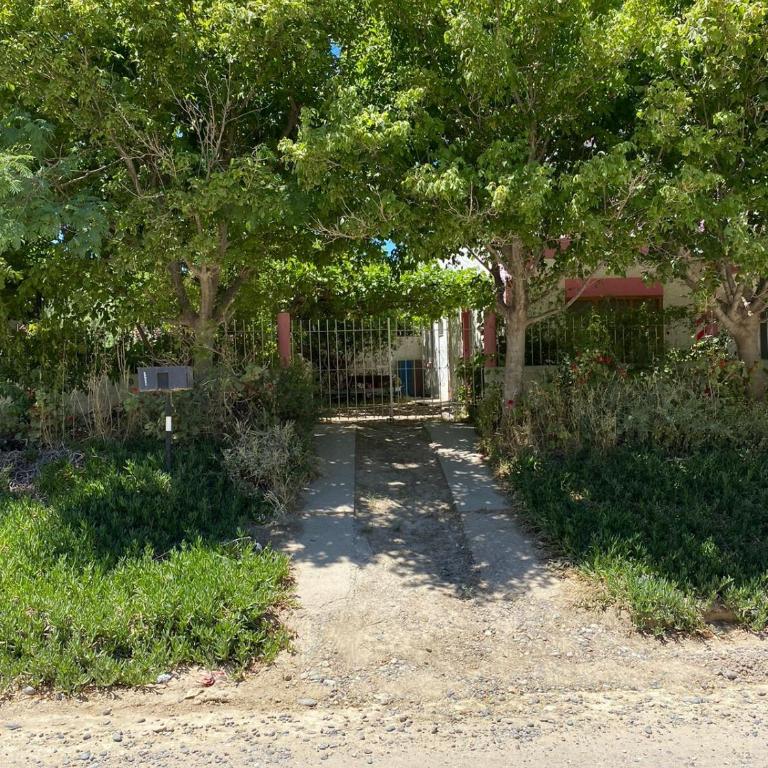 Los Geranios - Apartamento de 1 dormitorio - 2