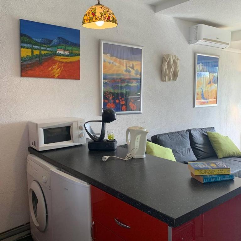 677 Appartement Port Nature 8 Rez-de-jardin terrasse Sud - Apartamento Estudio - 6
