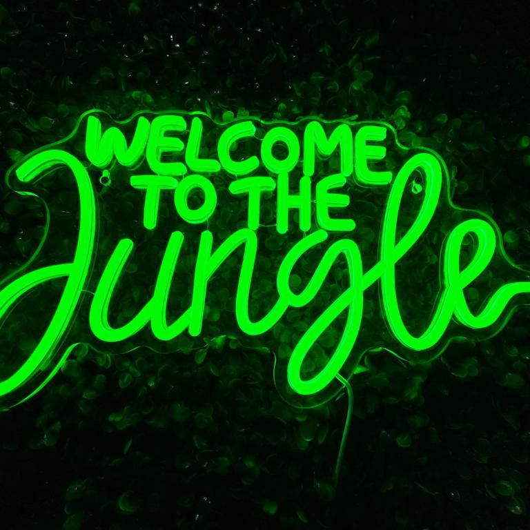 Ciné Jungle Projecteur 4K cœur de Lyon 6 - Monolocale Standard - 2