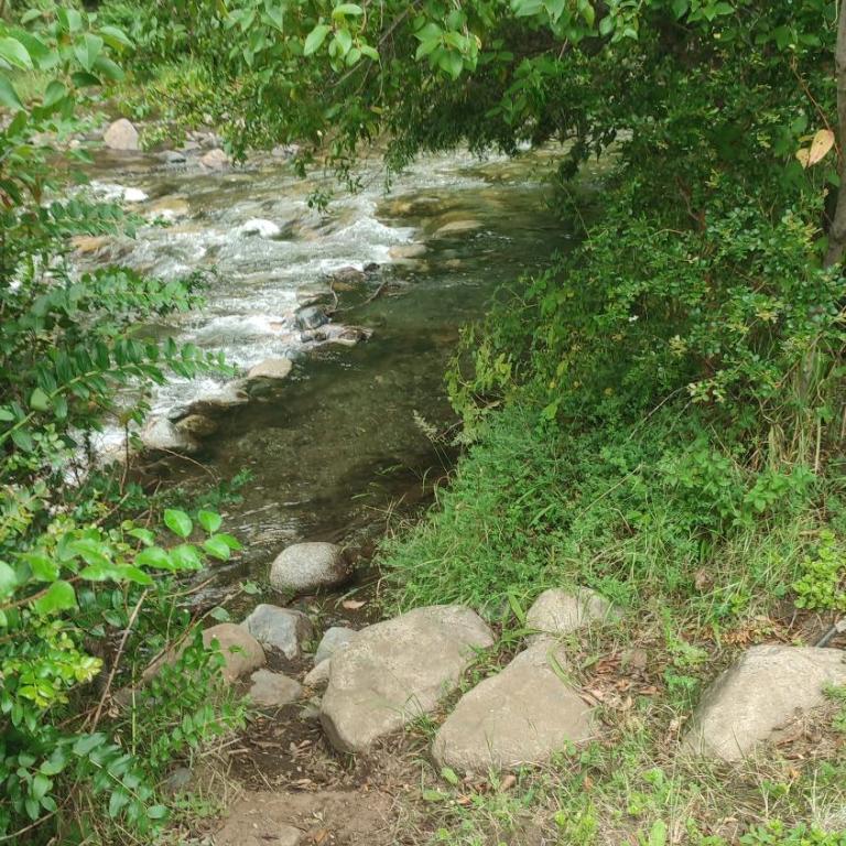 Ekuwun Cabaña para hasta 6 entre río y montaña - Two-Bedroom Chalet - 10