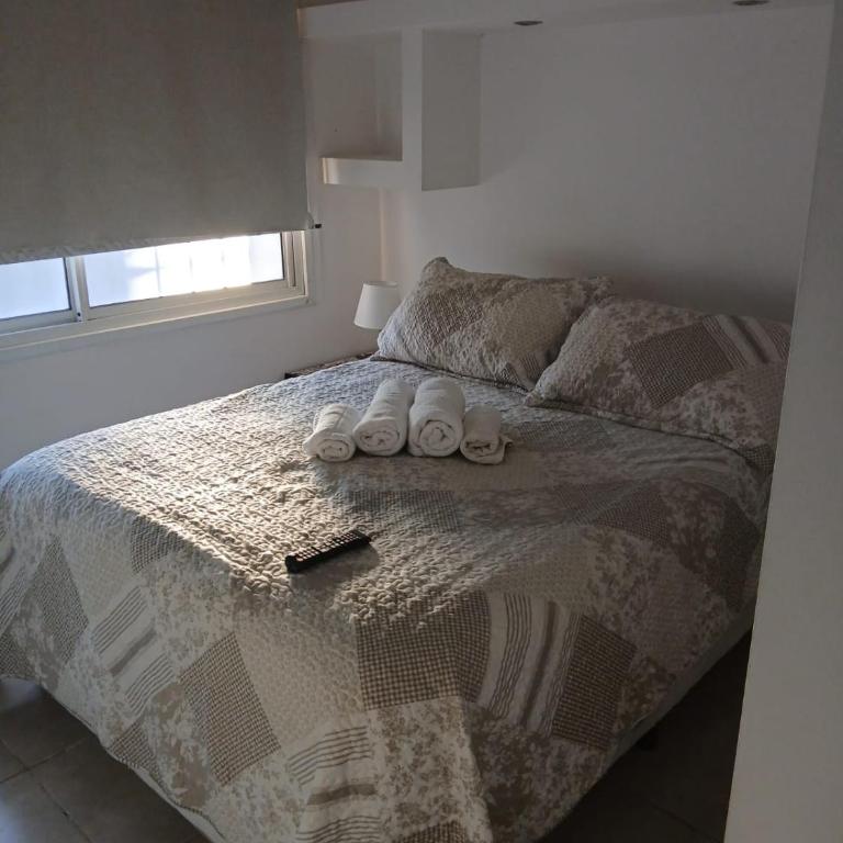 Santa Cruz 3 - One-Bedroom Apartment - 3