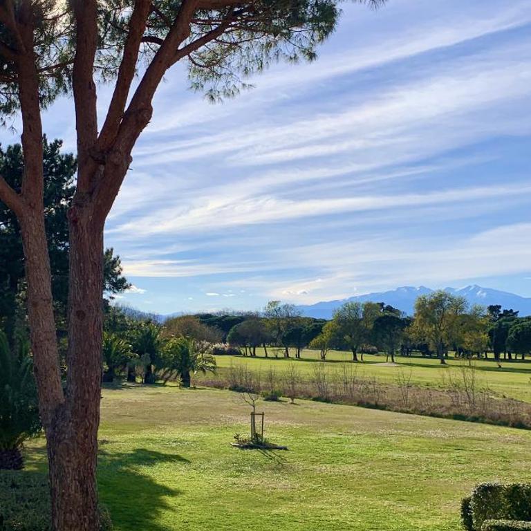 L appart du golf - Apartment mit 2 Schlafzimmern - 6