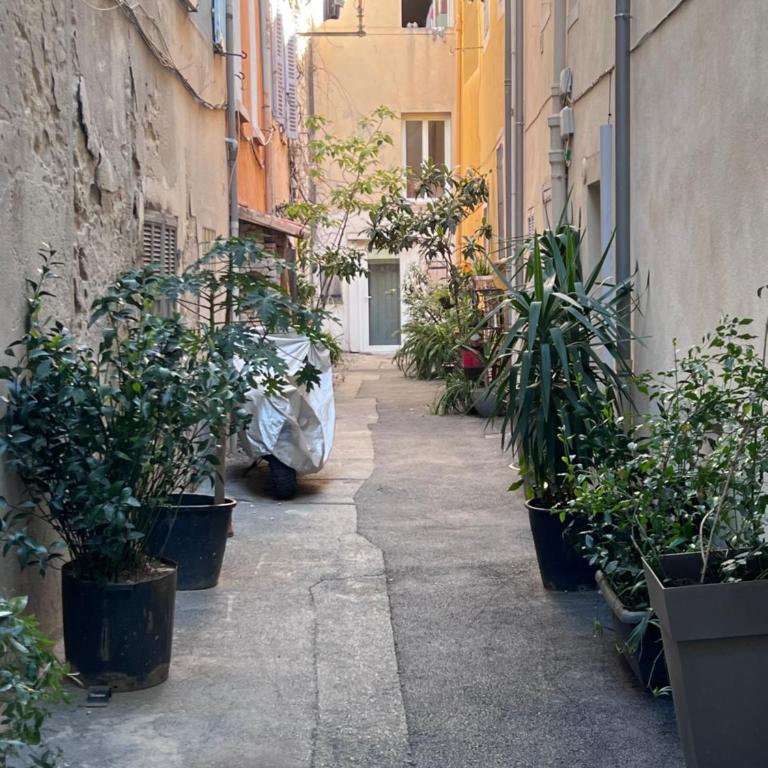 Le Madier II - Charmant studio au cœur de La Ciotat - Apartamento de 1 dormitorio - 7