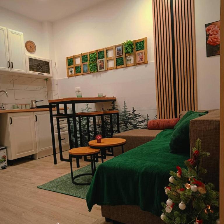 Apartman DB Jovanovic Kopaonik - One-Bedroom Apartment - 10