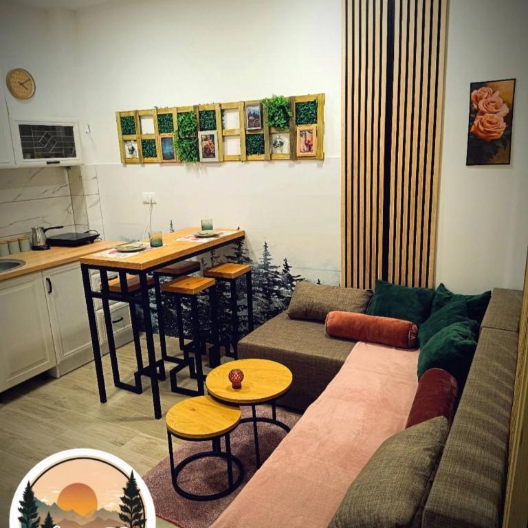 Apartman DB Jovanovic Kopaonik - One-Bedroom Apartment - 3