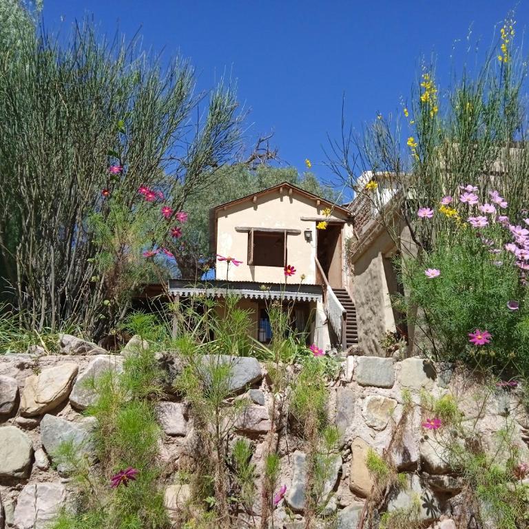 La Casa de Arriba - Three-Bedroom House - 6