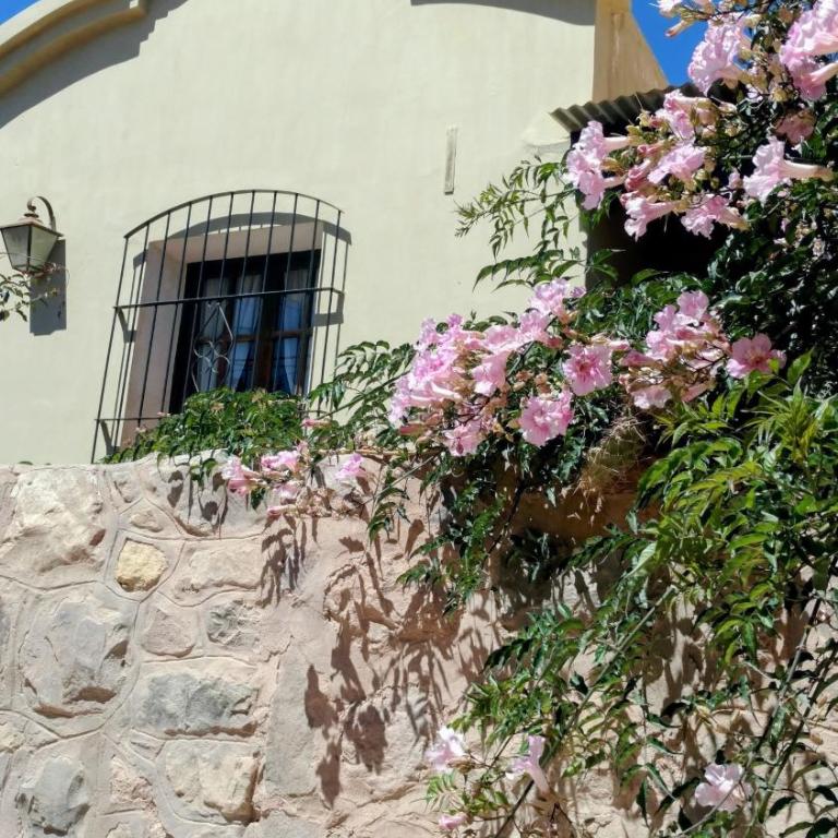 La Casa de Arriba - Casa de 3 dormitorios - 7