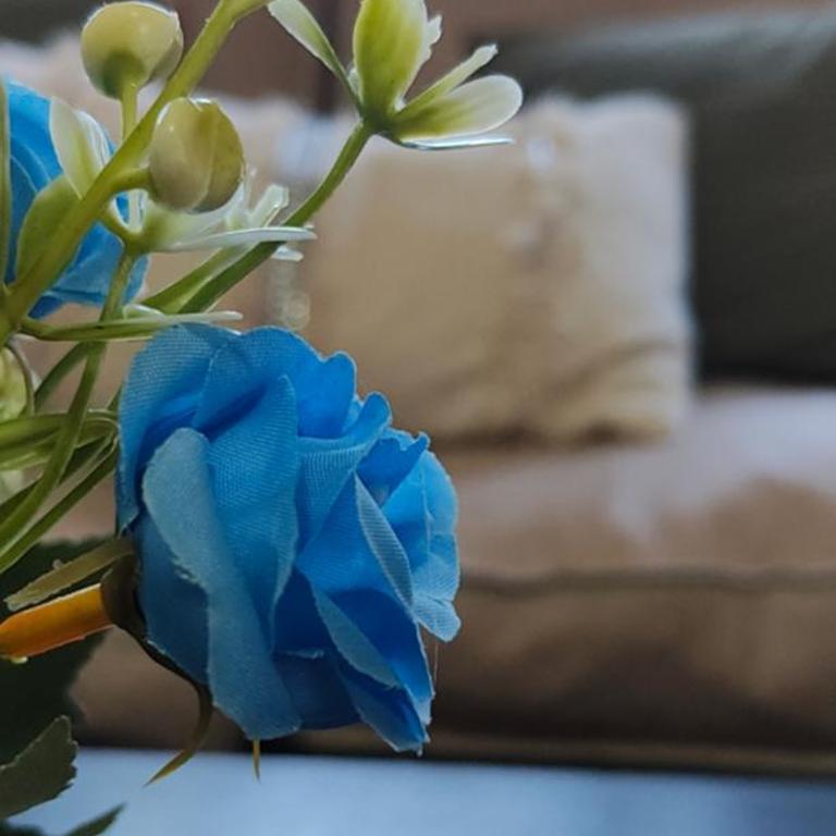 Qatro Frente al mar - Four-Bedroom House - 62