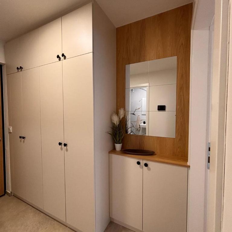 Quattro Apartman Free Private Parking - Apartman sa 1 Spavaćom Sobom - 14
