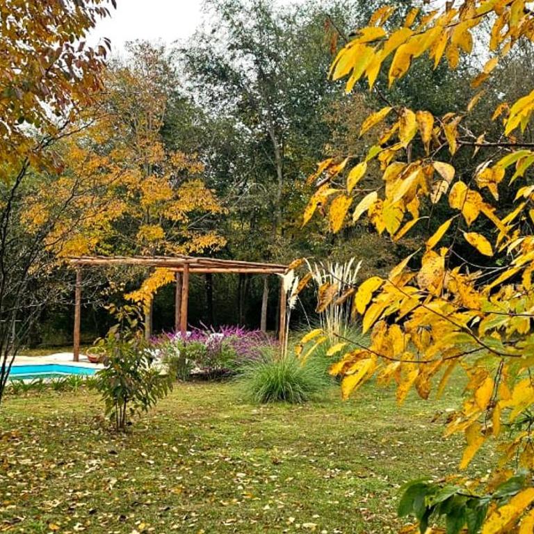 Casa de Campo El Racó del Peñón - Premium - - Casa con 1 dormitorio - 2