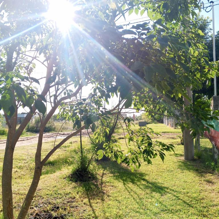 La Marita - Apartamento de 1 dormitorio - 7