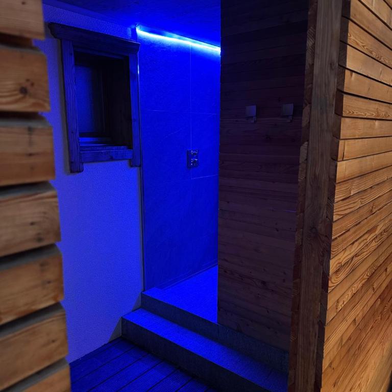 Chalet le Grand Ours - Chalet - 38