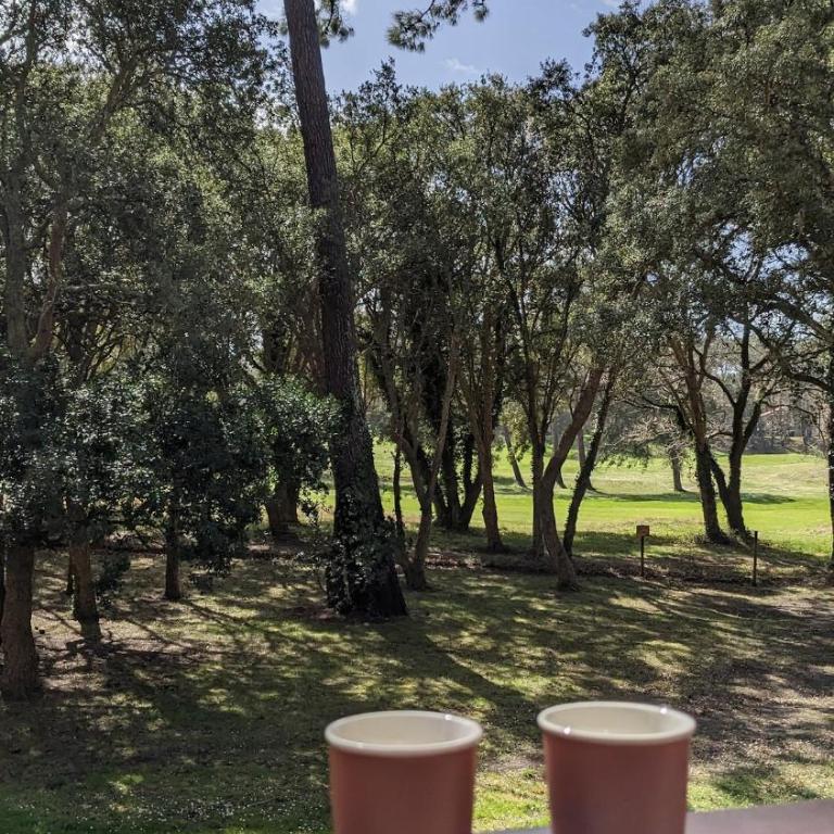 Cosy MO-MAÂ Golf, Océan et Plages - Appartement 1 Chambre avec Terrasse - 9