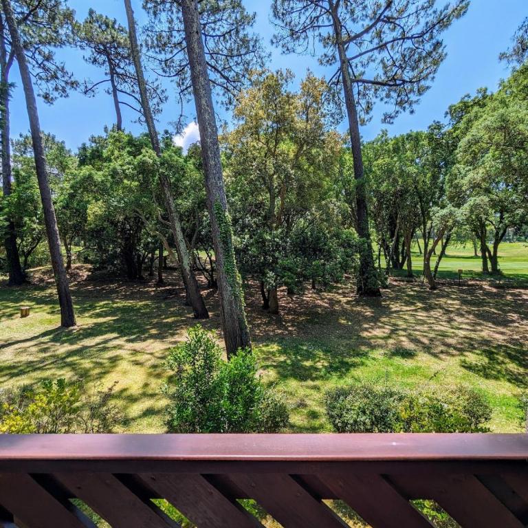 Cosy MO-MAÂ Golf, Océan et Plages - Appartement 1 Chambre avec Terrasse - 14