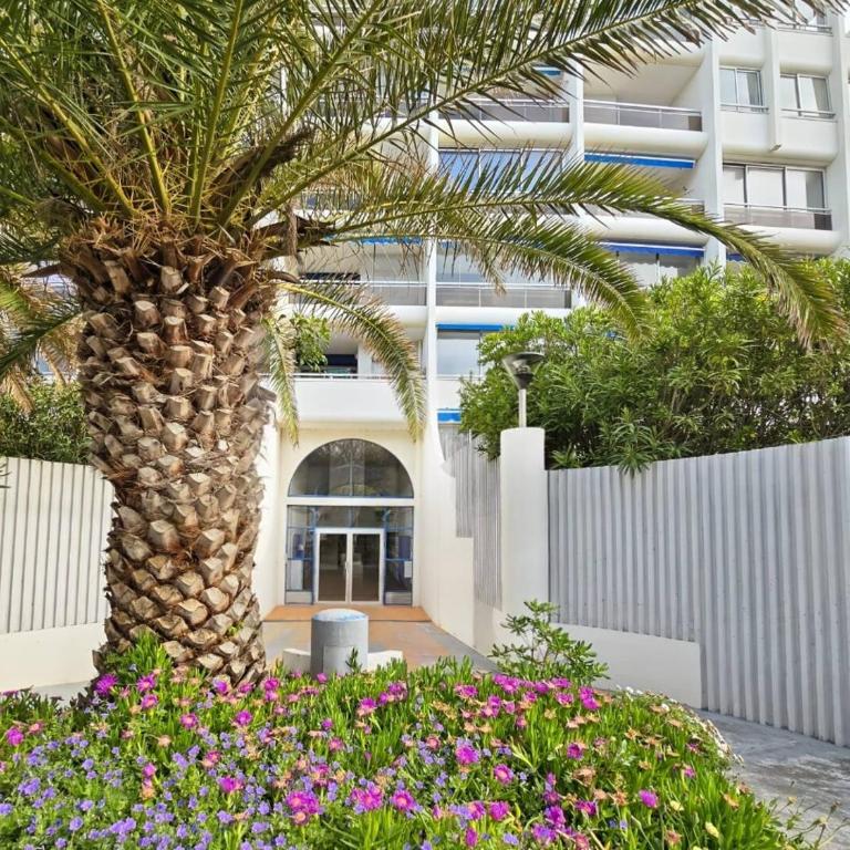 T2 100m plage vue dégagée parking privé 4per - Appartement 1 Chambre - 11